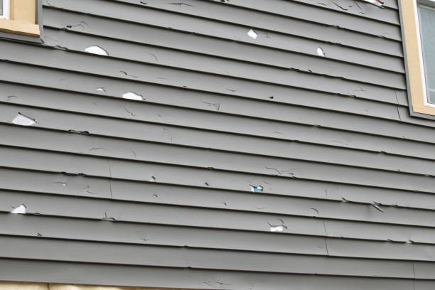 Professional Siding Installation & Repair in Sweetwater, TX